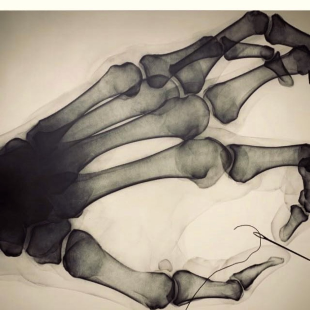 Meet your Posher, Fari